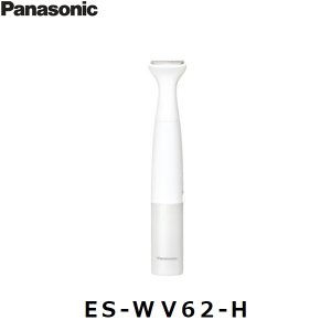 画像1: ES-WV62-H パナソニック Panasonic VIOフェリエ グレー調  送料無料